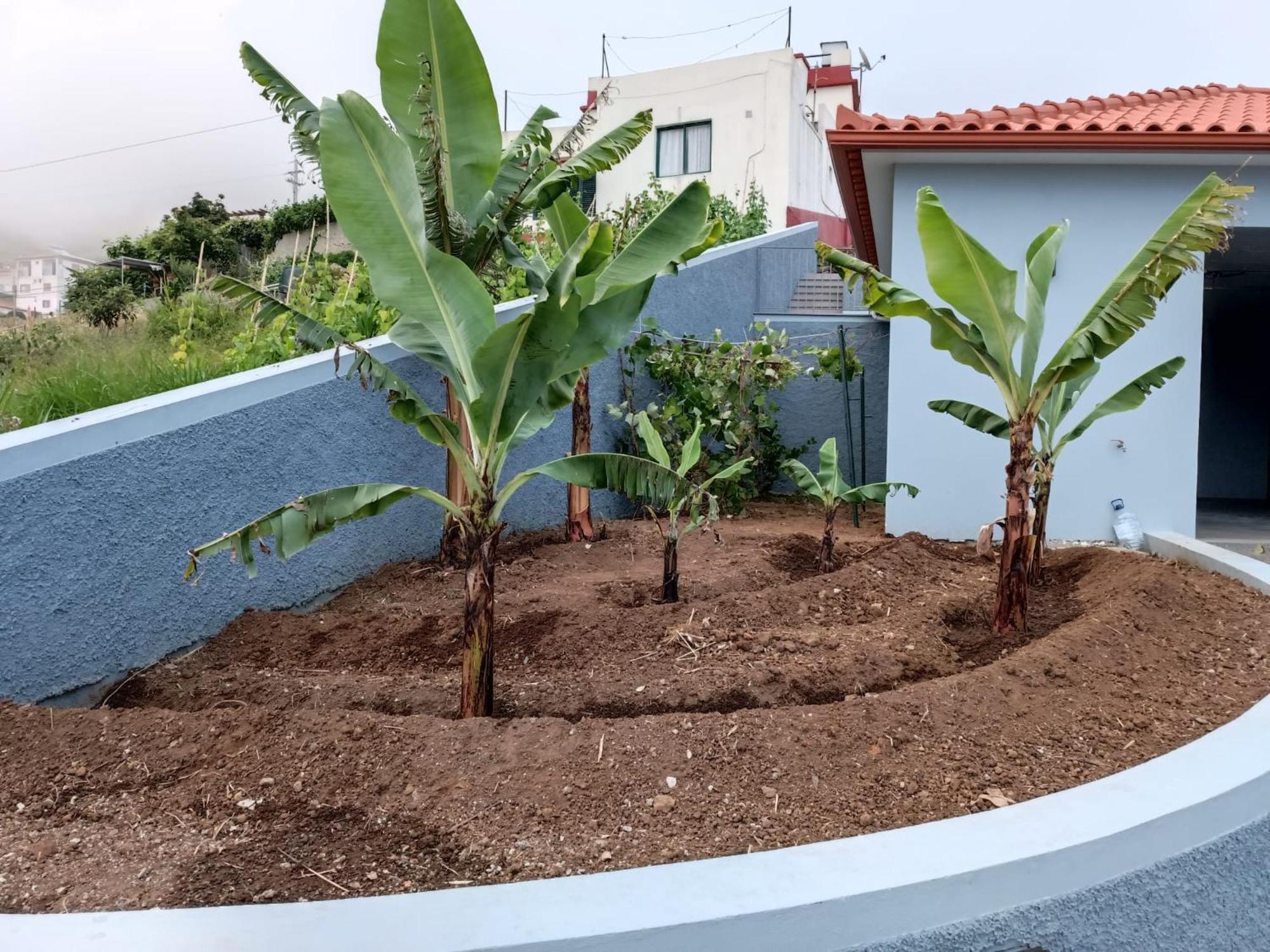 Calheta Paradise Holiday Home Arco da Calheta (Madeira) Exterior foto